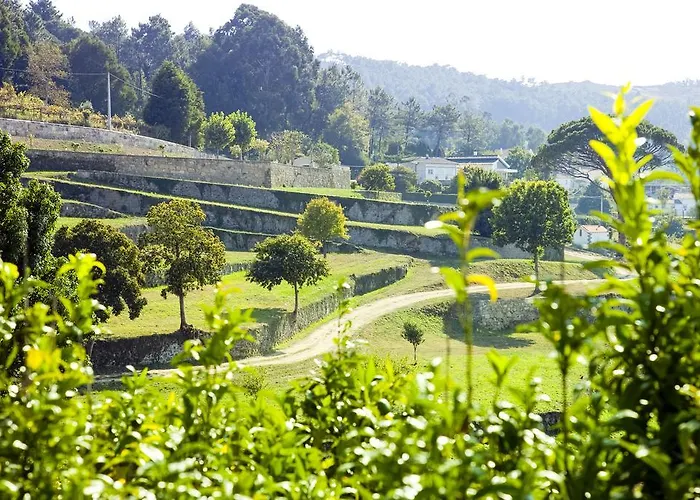 Boega Vila Nova de Cerveira